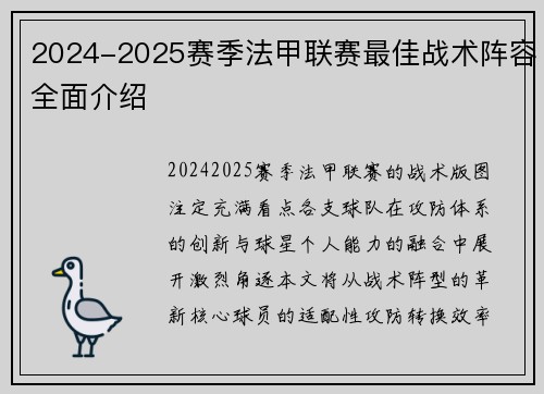 2024-2025赛季法甲联赛最佳战术阵容全面介绍