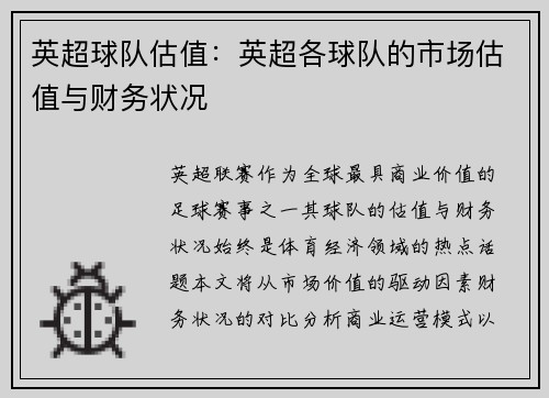 英超球队估值：英超各球队的市场估值与财务状况